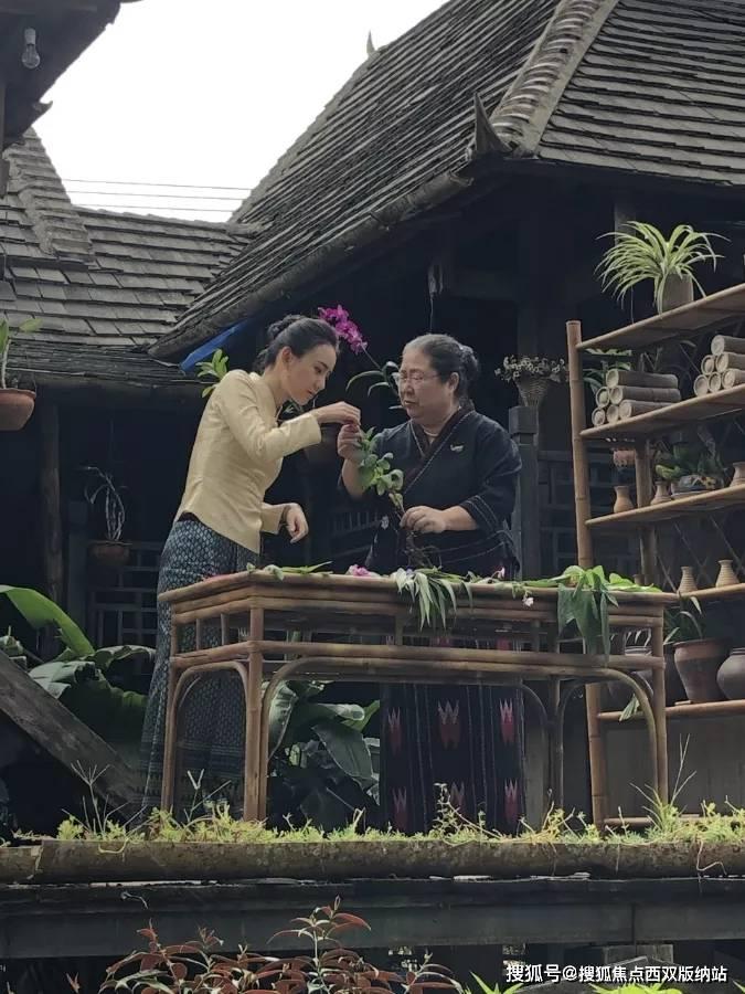逃离亚洲丛林